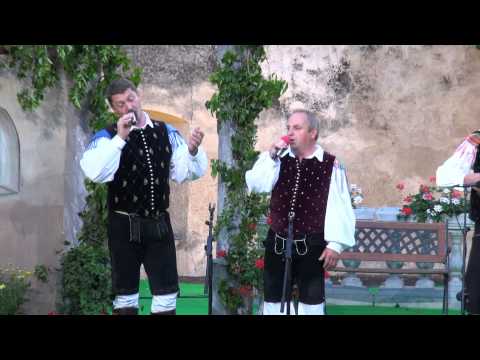 Ansambel Dolenjski zvoki (Straža)-Prijateljem (v živo)