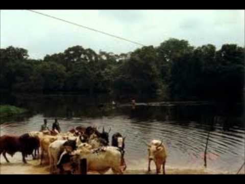 elone mp3 de mtz-bekône.wmv