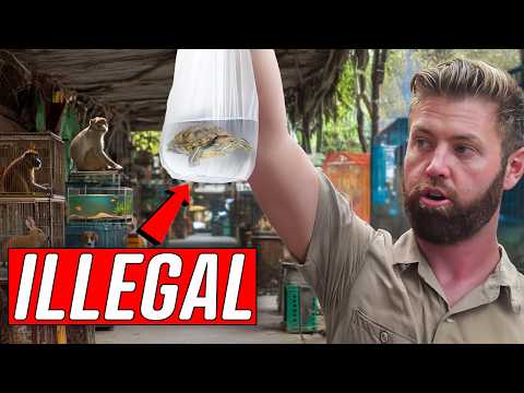 Undercover Inside an Illegal Exotic Animal Market
