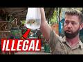 Undercover Inside an Illegal Exotic Animal Market DEFAULT Thumbnail
