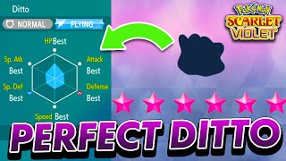 How to get a 5-6 IV DITTO in Pokemon Scarlet and Violet