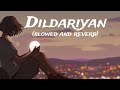 Dildariyan Amrinder Gill | Slowed and Reverb
