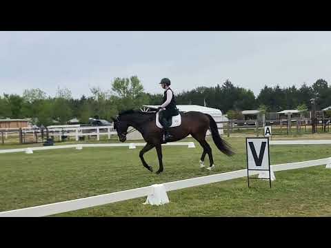 Dresden Green- FEI 2* Test B