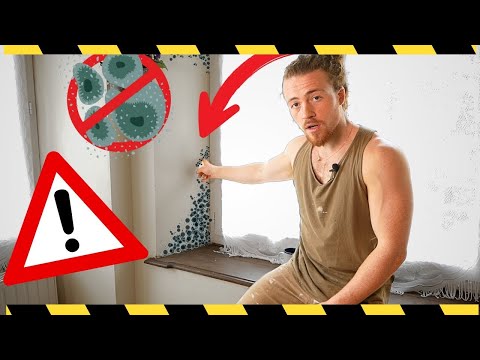 Dites Adieu À La Moisissure Autour Des Fenetres !