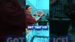 Ice Cold Collection! #pokemoncards #articuno #pokemontcg