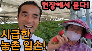 현장에 묻다! 농촌의 가장 시급한 문제? 볼빨간 딸기농장 방문