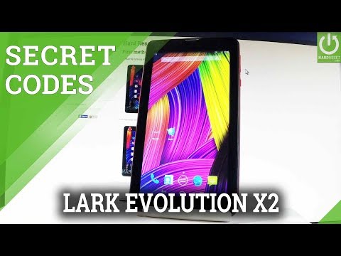 CODES in LARK Evolution X2 - Secret Mode / Hidden Options