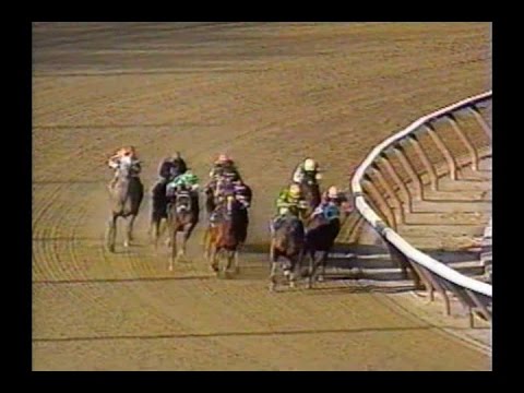 2000 Gotham Stakes