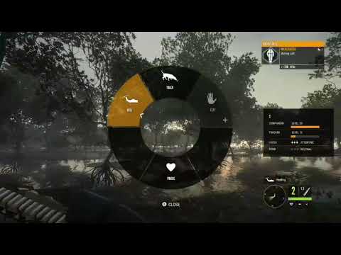 HUNTING A DIAMOND SALT WATER CROCODILE