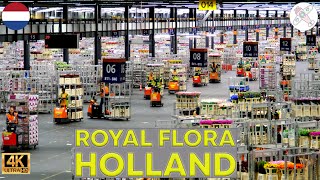 ROYAL FLORA HOLLAND │NETHERLANDS.  Just incredible! Here's the largest
