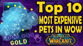 Top 10 Most Expensive Pets in WoW