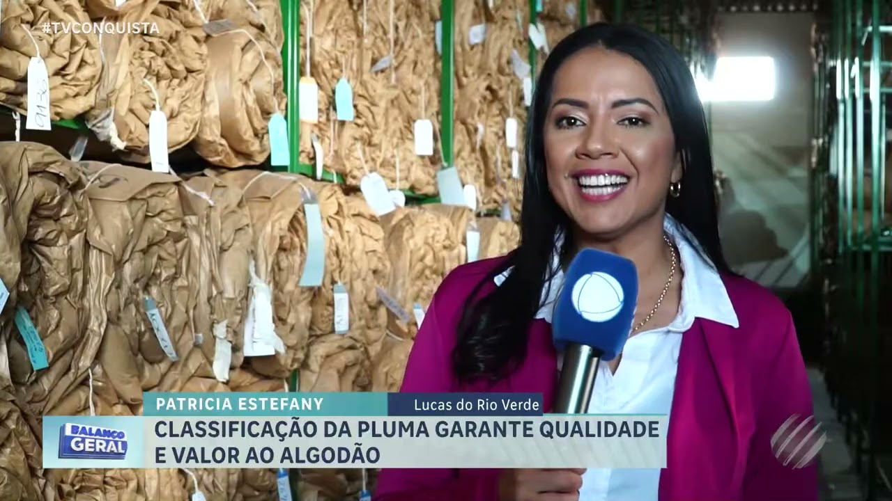 Classificação da pluma define qualidade do algodão e valor pago ao produtor