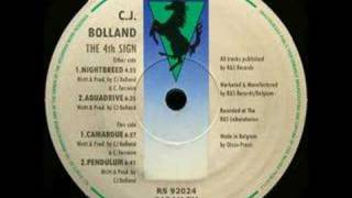 CJ Bolland - Camargue [1992]
