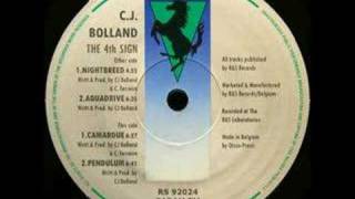 Cj Bolland - Camargue video