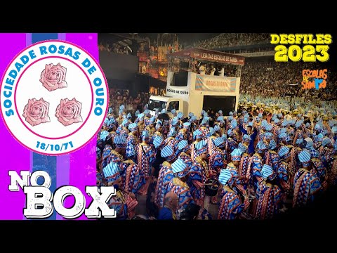 DESFILE Rosas de Ouro 2023 - RECUO DA BATERIA COM IDENTIDADE - KINDALA #PioneiroNoVídeoDosBreques