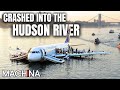 Bird Strike Cause Double Engine Failure | Mayday Air Disaster | S10 EP5 DEFAULT Thumbnail