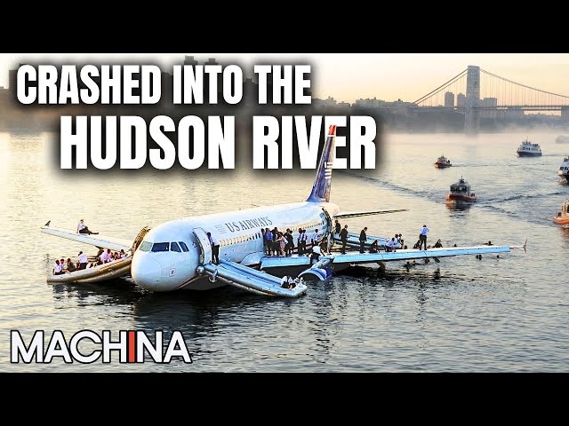 Bird Strike Cause Double Engine Failure | Mayday Air Disaster | S10 EP5 SDDEFAULT Thumbnail