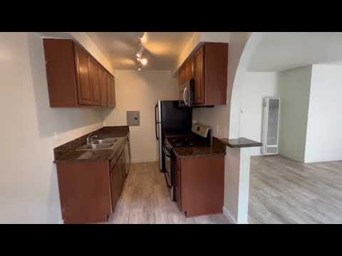 pac36 - Video 2 of 2