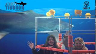 DIA 2 Expo Tiburon116