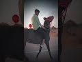 Rani Rangili Song Ranirangili Instagram Instagram Instagram Marwadi Status Short Shorts
