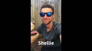 Video preview image #1 Basset Hound-Siberian Husky Mix Puppy For Sale in Kennesaw, GA, USA