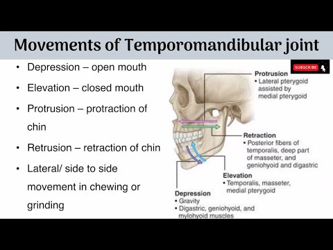 Movements of Temporomandibular Joint | Axes of Movements | Muscles producing the Movements with AA