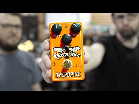 KILLER budget Overdrive - Caline Queen Bee Overdrive