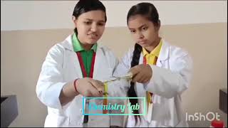 Shiv Shakti Senior Secondary School Video
