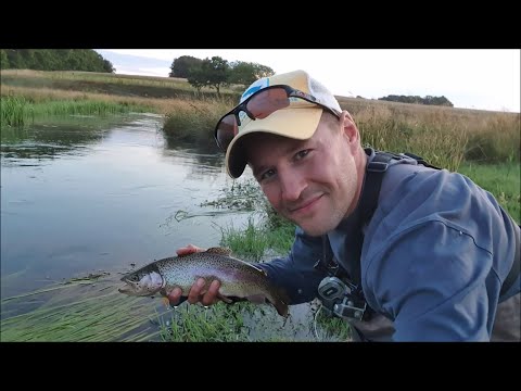Forellenfischen an der Au