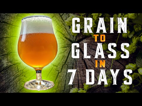 How to Make Home Brew Beer in 7 Days | Grain to Glass | Euro Gold Craft Beer