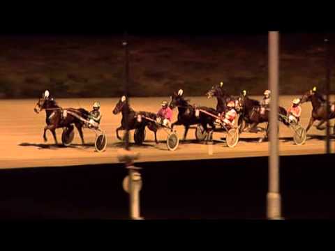 Victoria Park Wolvega 20-12-2013 KOERS 8 DANDY BOY WS - K. ROEGES