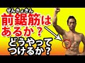 前鋸筋はあるか?あるとかっこいい!逆三角形を演出!腹筋とのコンビネーション!