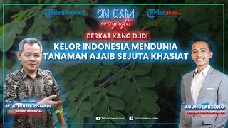 Cerita Dudi Krisnadi Dianggap Gila karena Teliti Kelor, Kini Produknya Mendunia & Beromzet Miliaran