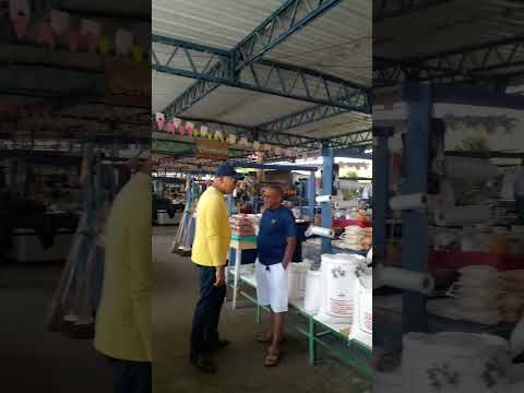 Feira de Dias Davila Bahia #shorts #bahia