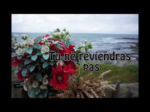 Tu ne reviendras pas - Adrien Hedone
