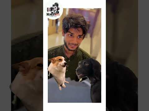 Day 69 finding Logic 🙂🤌 ......#cringe #cringetiktok #tiktok #funny #funnyvideos