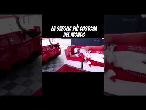 SVEGLIA‼️ #ferrari #charlesleclerc #formula1 #f1 #leclerc #haas #hamilton