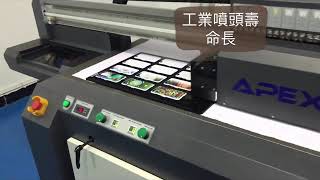APEX 工業型UV數位印刷機 │日本東芝噴頭工業UV印刷設備 手機殼印刷【UV Printer】Print on phone case