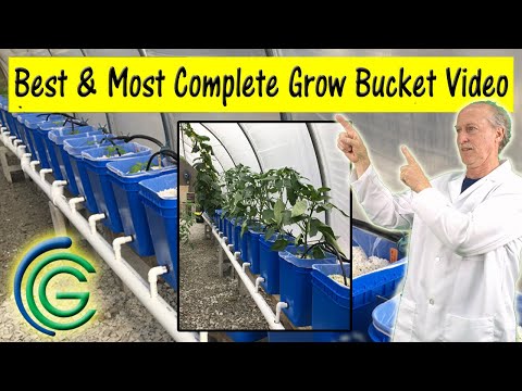Hydroponic Growing  Buckets (Dutch buckets) Best DIY Dutch Bucket Video