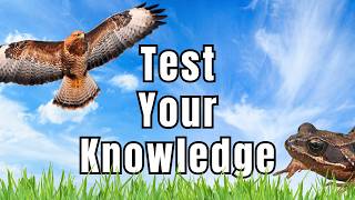 Can you answer these 8 WILDLIFE questions correctly?