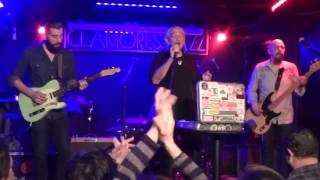 Charlie Musselwhite - Just A Feeling