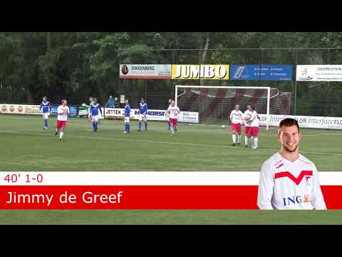 s.v. de Valleivogels - AGOVV (samenvatting)
