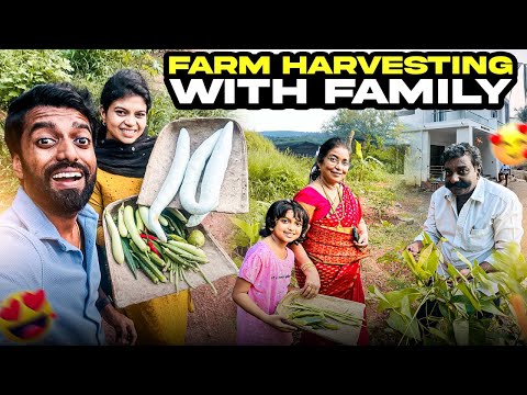 Harvest Day at Our Farm with Family 🌾✨ | DAN JR VLOGS
