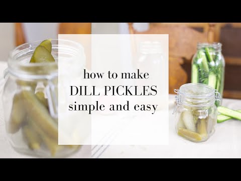 , title : 'Lacto Fermented Dill Pickles | NATURAL PROBIOTICS'