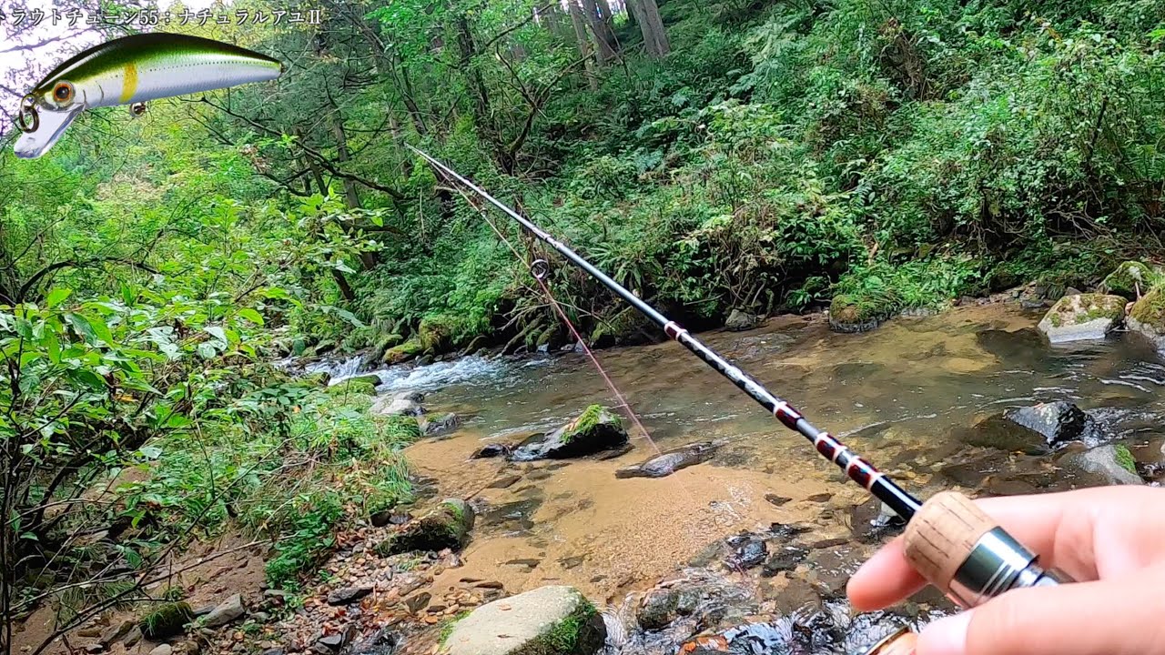 『いるはずの無い魚』が釣れるという謎の場所へ