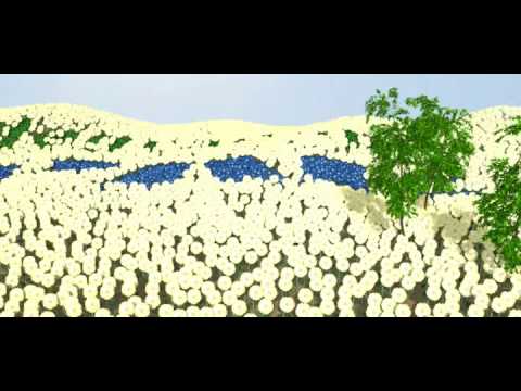 Biodegradable Products Animation - Garbage In and Garbage Out Video Lecture