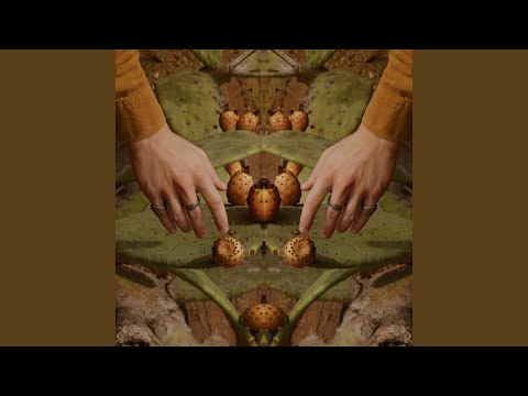Hard To Park - Jackson Wagner