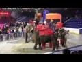 Garden Bros Circus