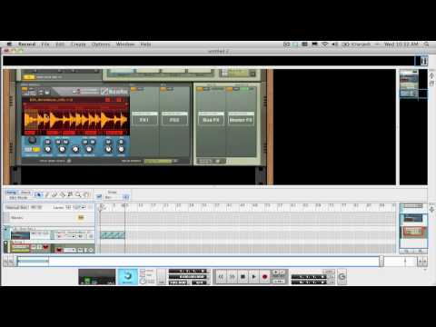 52 Reason / Record Tips - Week 28: Nurse Rex (Kong) Chunk Trig Tips