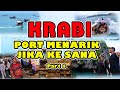 Port Menarik Di KRABI Episod 1
